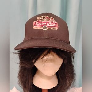 World Industries Willy Flameboy Skateboard Snapback Hat Cap Brown
